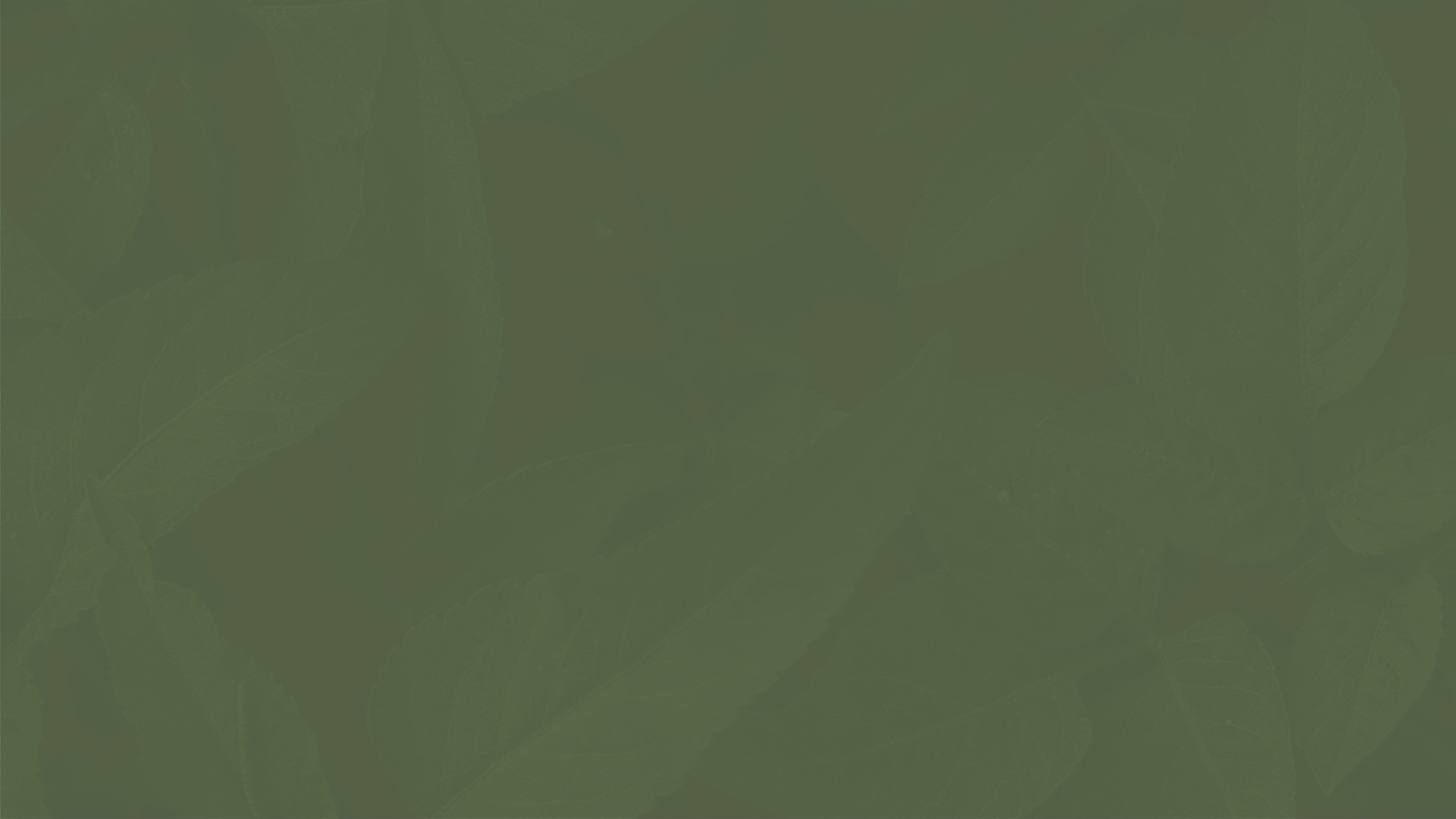 Abstract Green Pastel Texture Background